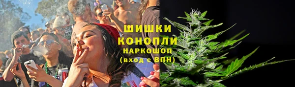 СК Богородск