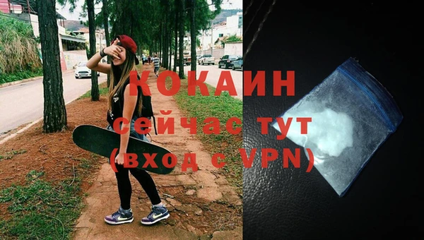 СК Богородск