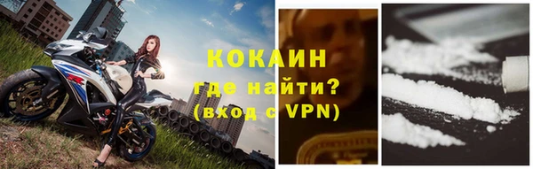 СК Богородск