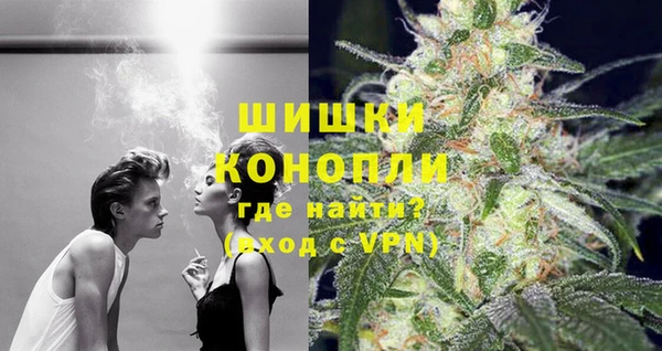 прущие крисы Богданович
