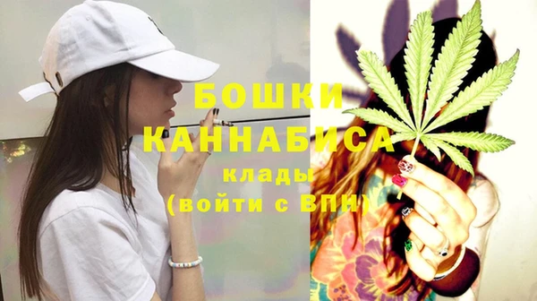 СК Богородск