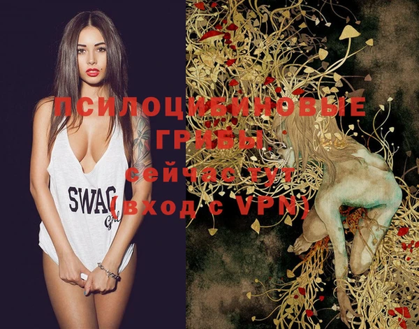прущие крисы Богданович