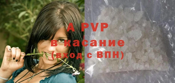 прущие крисы Богданович