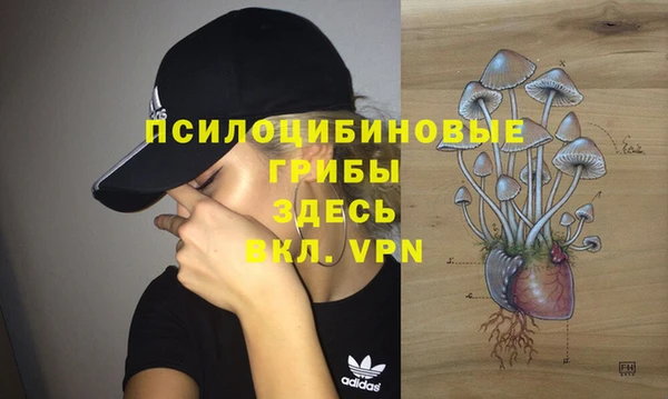 прущие крисы Богданович